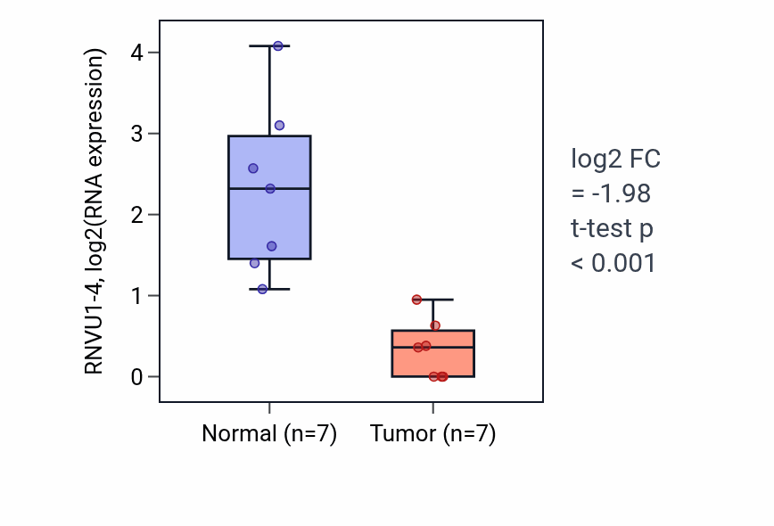 Tumor-vs-normal expression box plot for RNVU1-4 in THCA.