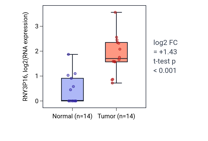 Tumor-vs-normal expression box plot for RNY3P16 in KIRC.