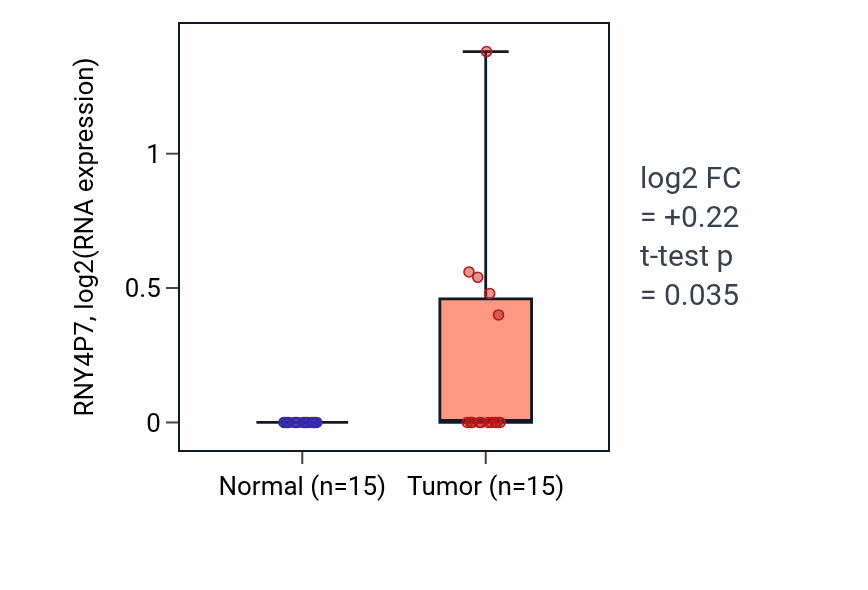 Tumor-vs-normal expression box plot for RNY4P7 in KIRP.