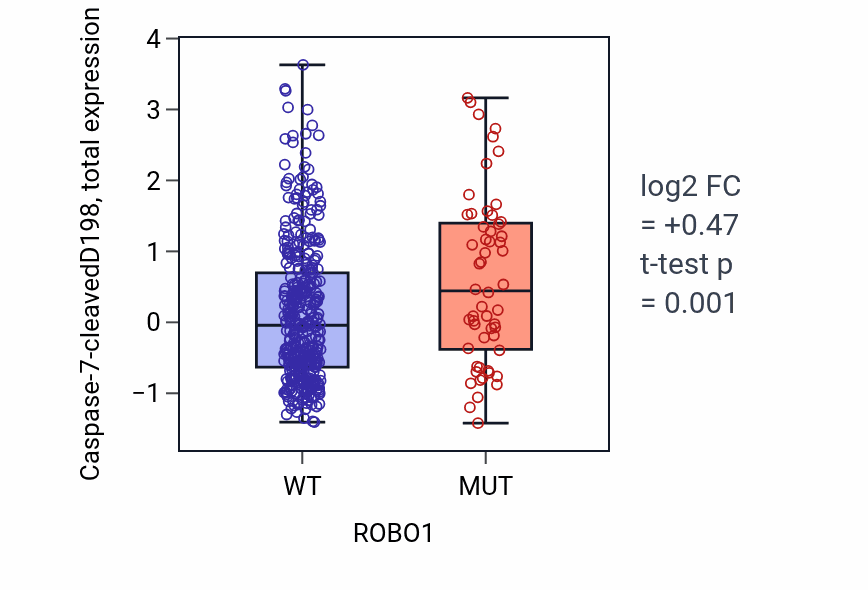 Box plot of Caspase-7-cleavedD198 in ROBO1-low vs ROBO1-high samples in UCEC.