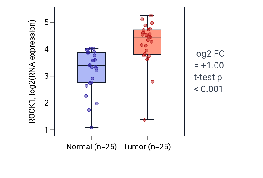 Tumor-vs-normal expression box plot for ROCK1 in HNSC.