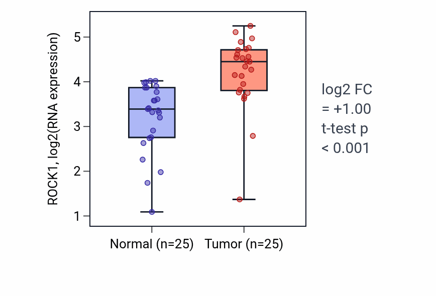 Tumor-vs-normal expression box plot for ROCK1 RNA in HNSC.