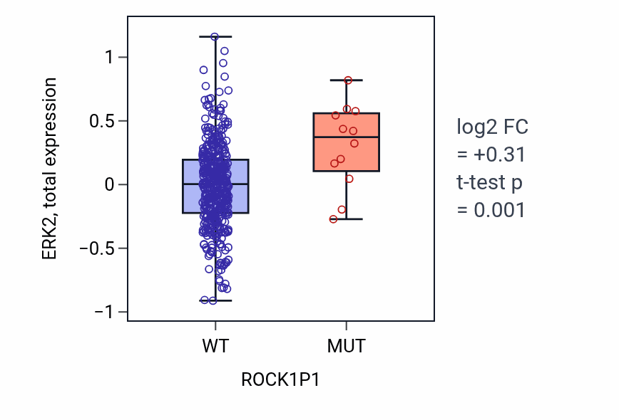 Box plot of ERK2 in ROCK1P1-low vs ROCK1P1-high samples in UCEC.