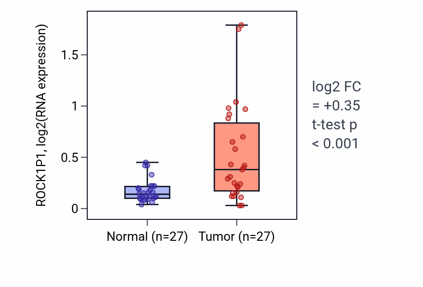 Tumor-vs-normal expression box plot for ROCK1P1 in HNSC.