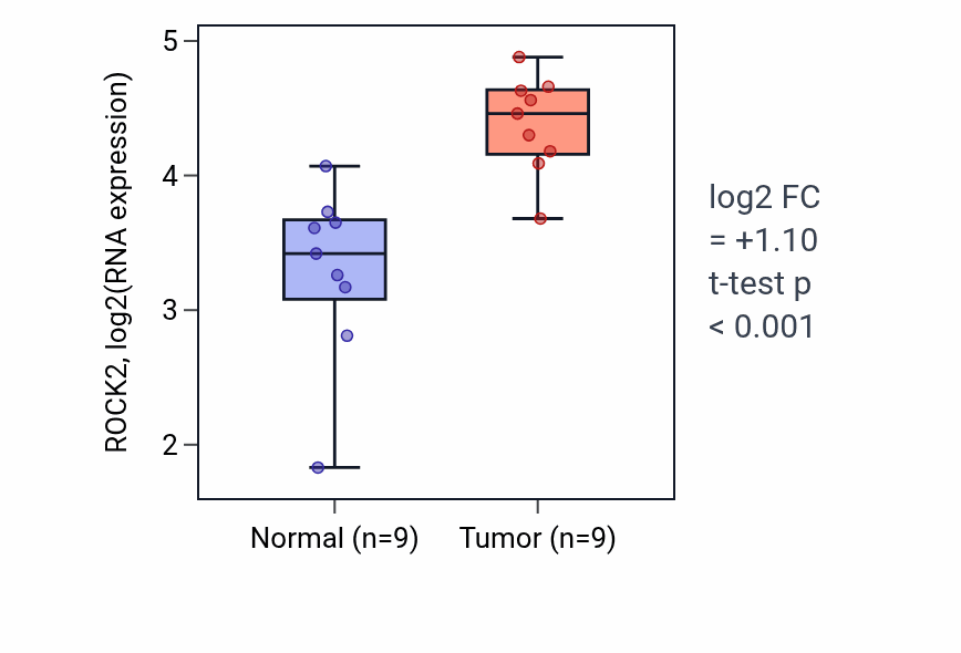Tumor-vs-normal expression box plot for ROCK2 RNA in HNSC.