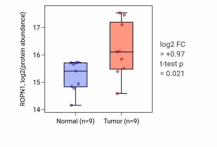 Tumor-vs-normal mass-spec protein box plot for ROPN1 in LSCC.