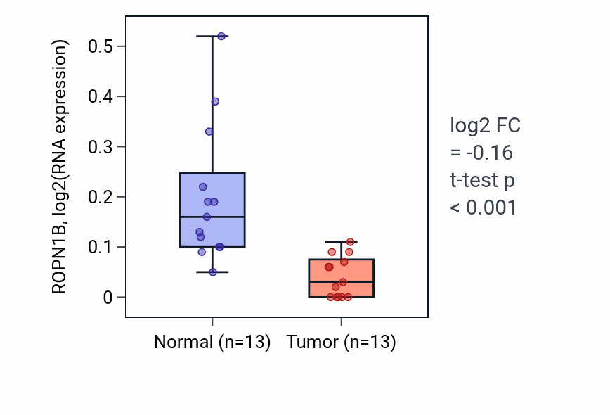 Tumor-vs-normal expression box plot for ROPN1B RNA in KIRC.