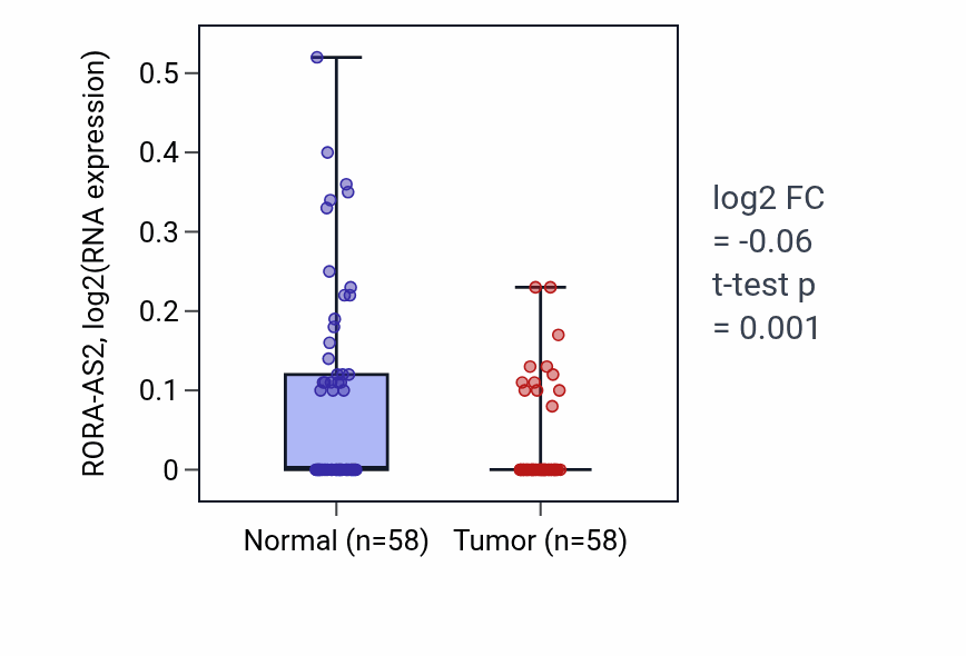 Tumor-vs-normal expression box plot for RORA-AS2 RNA in THCA.