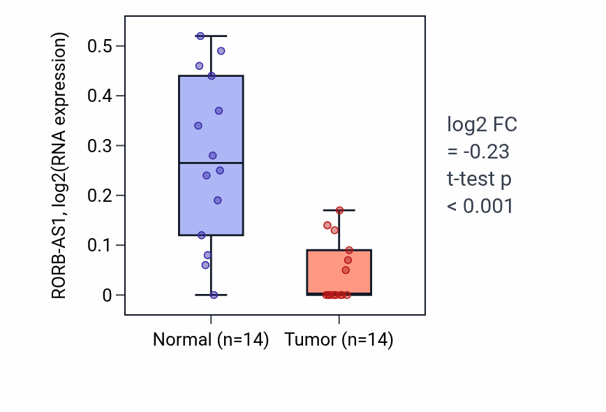 Tumor-vs-normal expression box plot for RORB-AS1 in THCA.