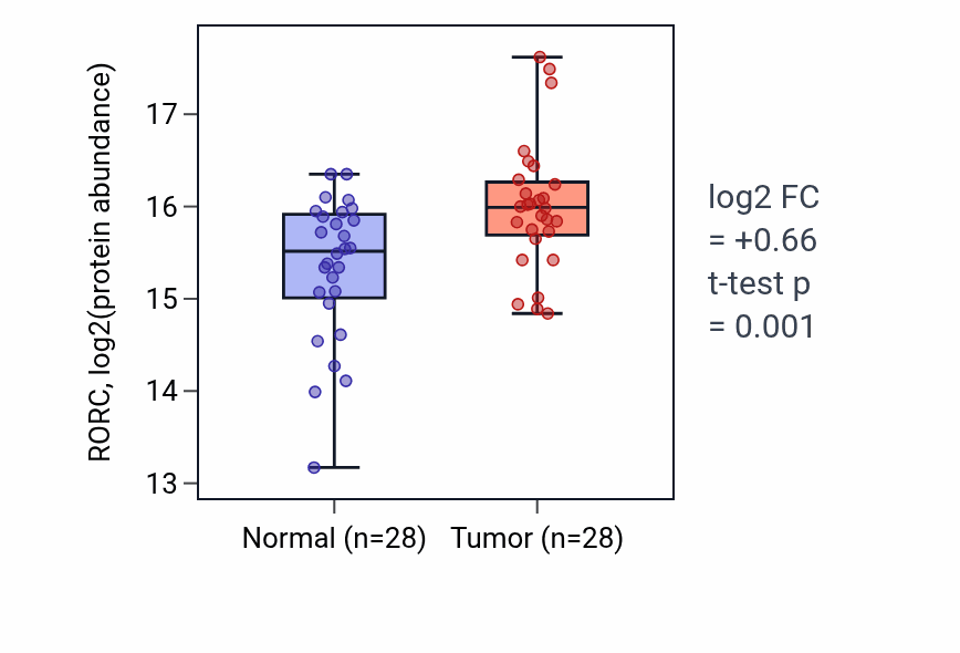 Tumor-vs-normal mass-spec protein box plot for RORC in LUAD.