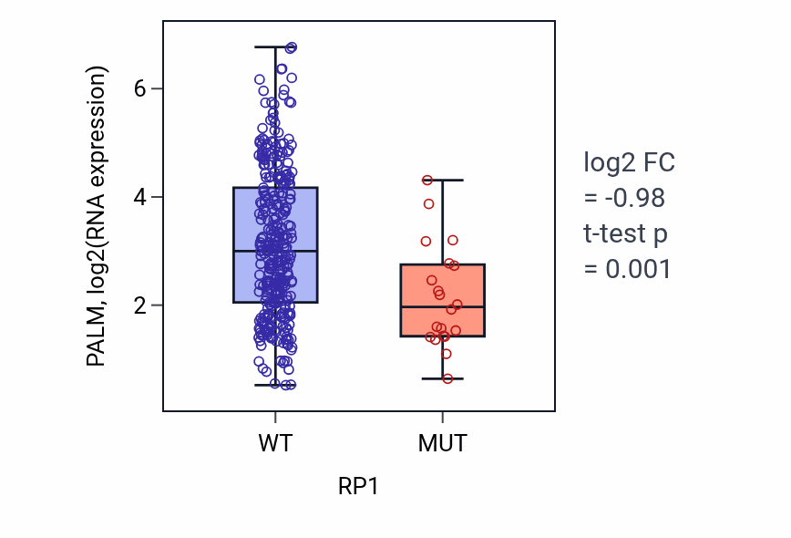 Box plot of PALM in RP1-low vs RP1-high samples in STAD.