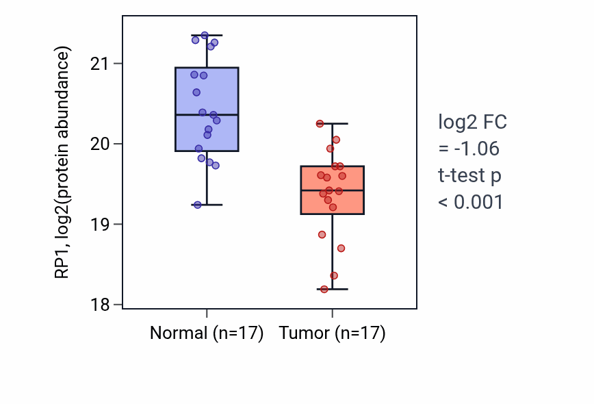 Tumor-vs-normal mass-spec protein box plot for RP1 in LUAD.