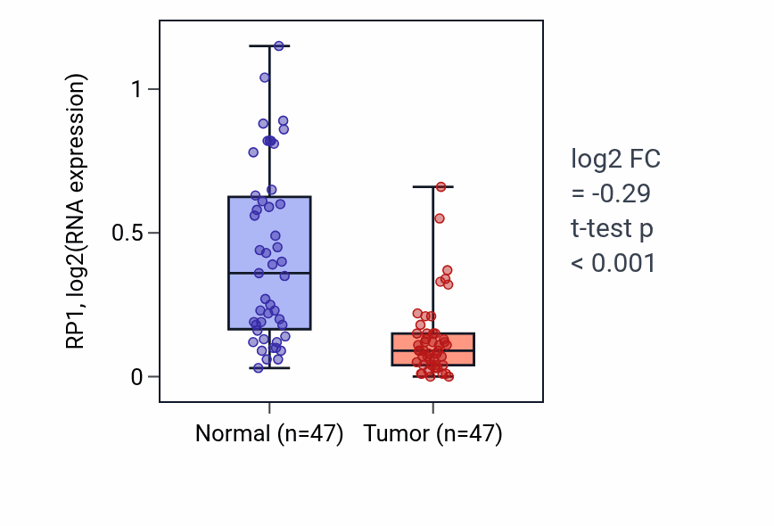 Tumor-vs-normal expression box plot for RP1 RNA in KIRC.