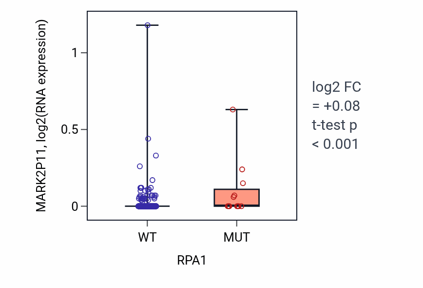 Box plot of MARK2P11 in RPA1-low vs RPA1-high samples in COAD.