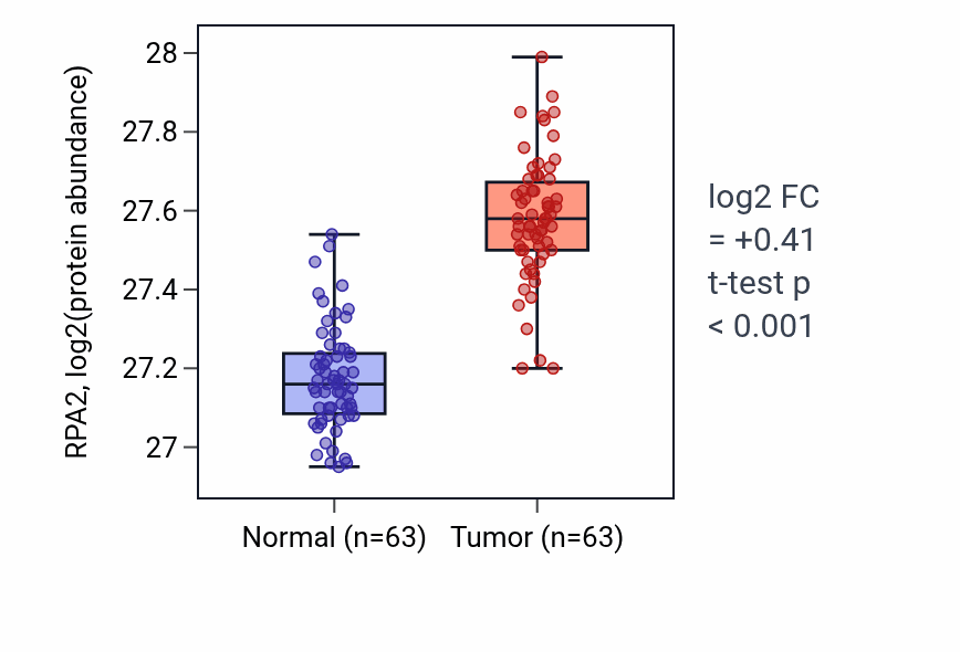 Tumor-vs-normal mass-spec protein box plot for RPA2 in CCRCC.