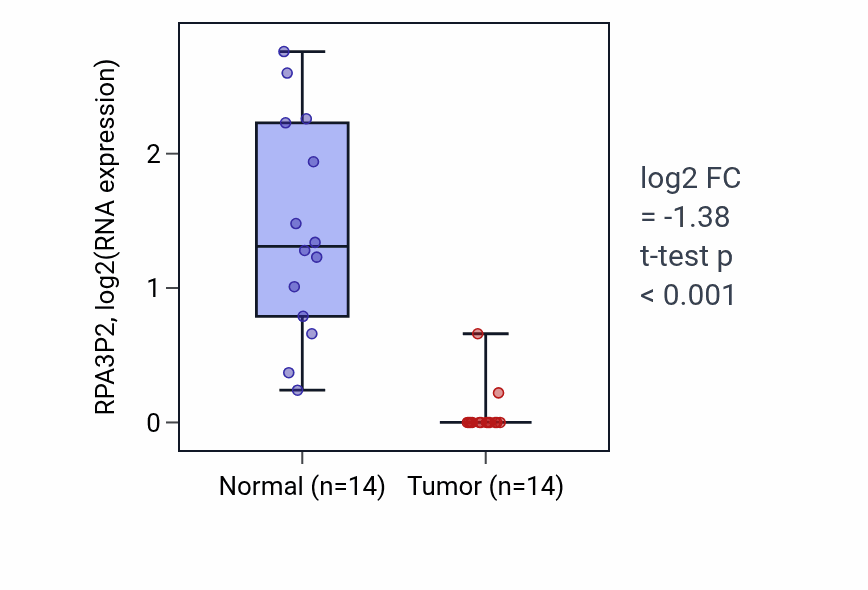 Tumor-vs-normal expression box plot for RPA3P2 in THCA.