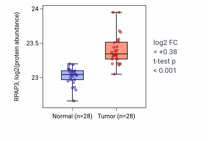 Tumor-vs-normal mass-spec protein box plot for RPAP3 in COAD.