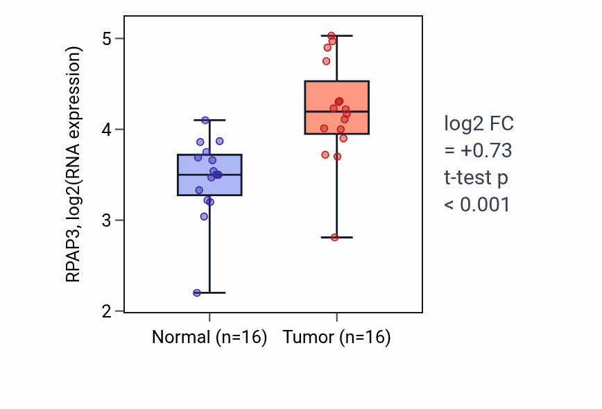 Tumor-vs-normal expression box plot for RPAP3 RNA in HNSC.