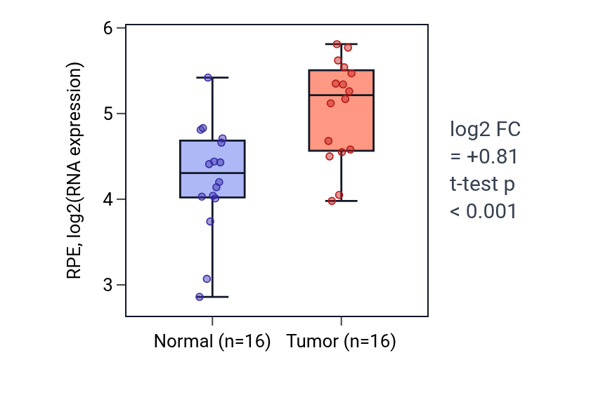 Tumor-vs-normal expression box plot for RPE in HNSC.