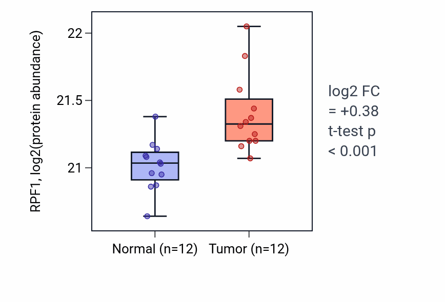 Tumor-vs-normal mass-spec protein box plot for RPF1 in CCRCC.
