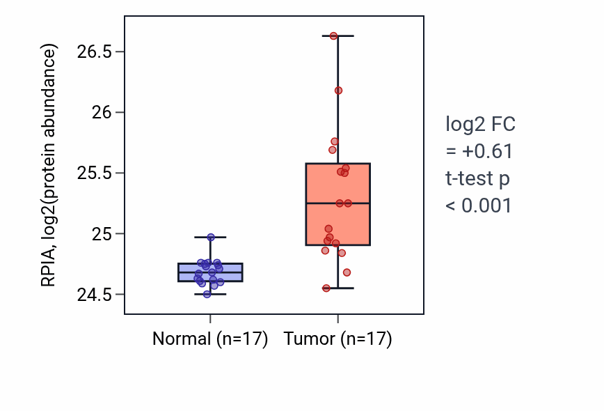Tumor-vs-normal mass-spec protein box plot for RPIA in CCRCC.