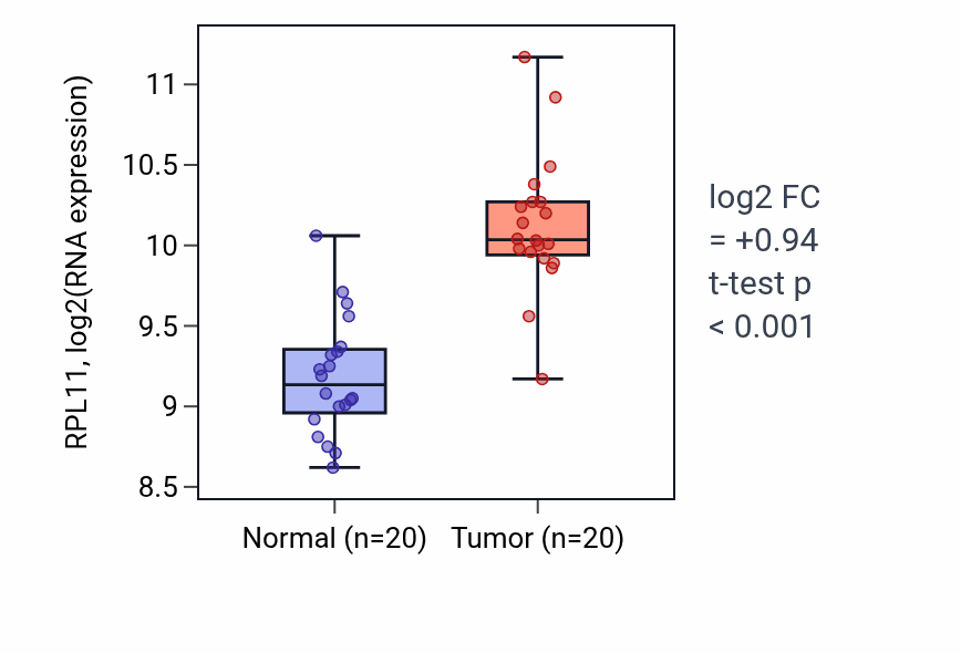 Tumor-vs-normal expression box plot for RPL11 RNA in KIRC.