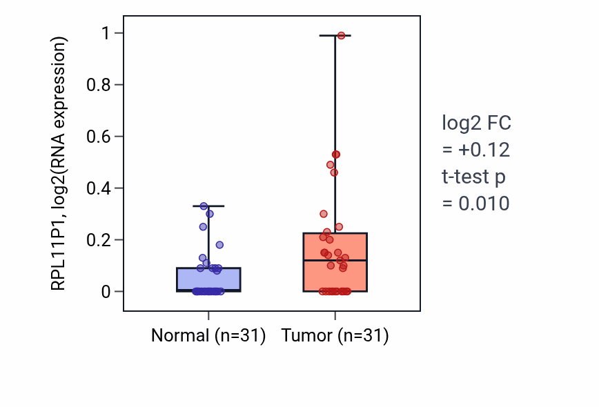 Tumor-vs-normal expression box plot for RPL11P1 in KIRP.