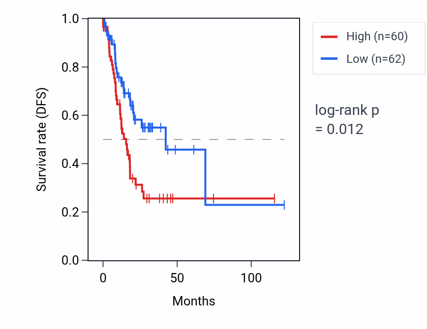 Kaplan&ndash;Meier survival curve for RPL13AP19 RNA expression in STAD: high vs low expression groups.