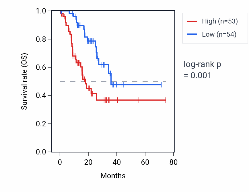 Kaplan&ndash;Meier survival curve for RPL19P20 RNA expression in STAD: high vs low expression groups.