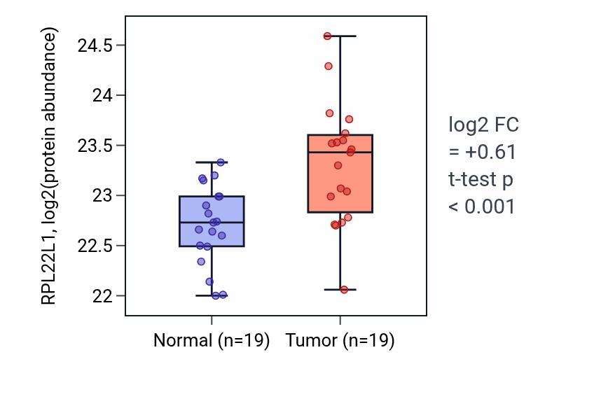 Tumor-vs-normal mass-spec protein box plot for RPL22L1 in LSCC.