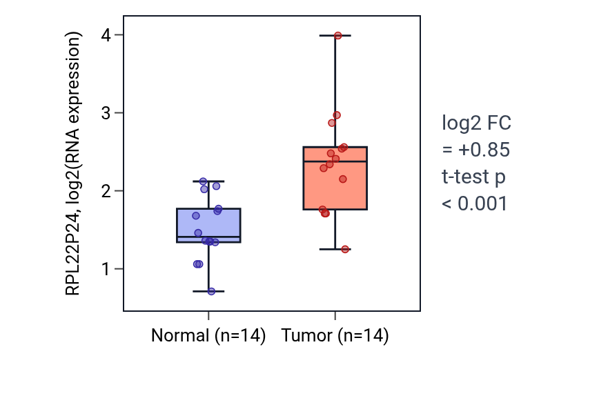 Tumor-vs-normal expression box plot for RPL22P24 in BLCA.