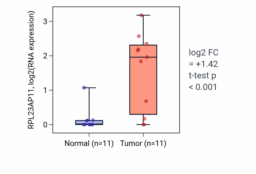 Tumor-vs-normal expression box plot for RPL23AP11 in HNSC.