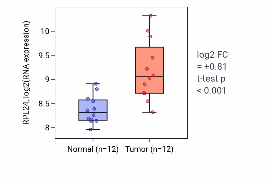 Tumor-vs-normal expression box plot for RPL24 RNA in KIRC.