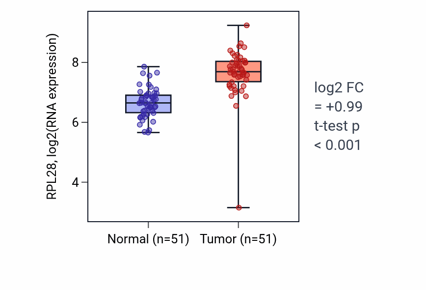 Tumor-vs-normal expression box plot for RPL28 RNA in KIRC.