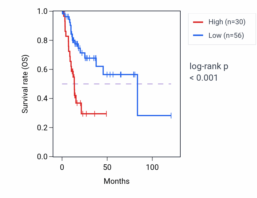 Kaplan&ndash;Meier survival curve for RPL3P10 RNA expression in LIHC: high vs low expression groups.
