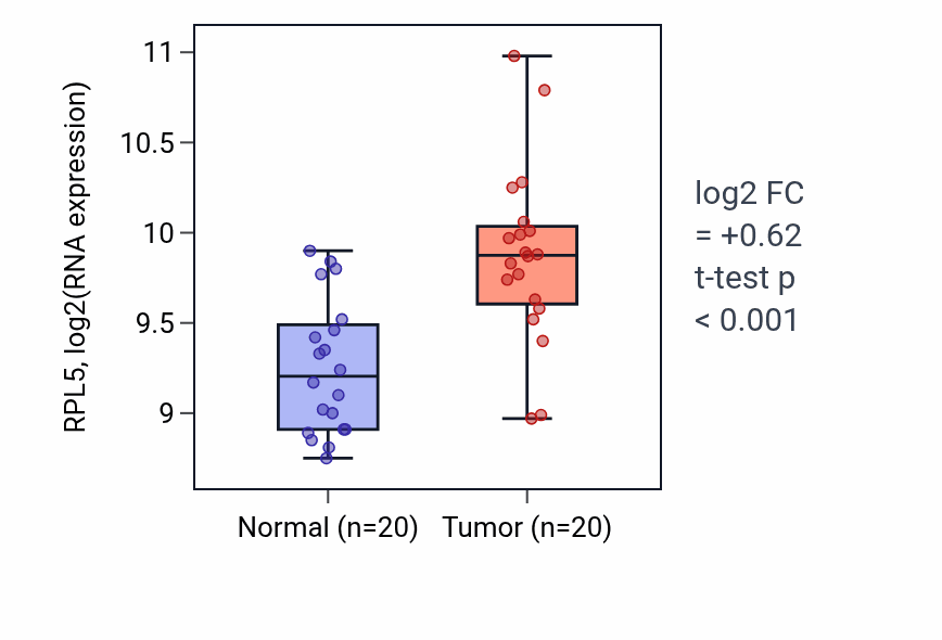 Tumor-vs-normal expression box plot for RPL5 RNA in KIRC.