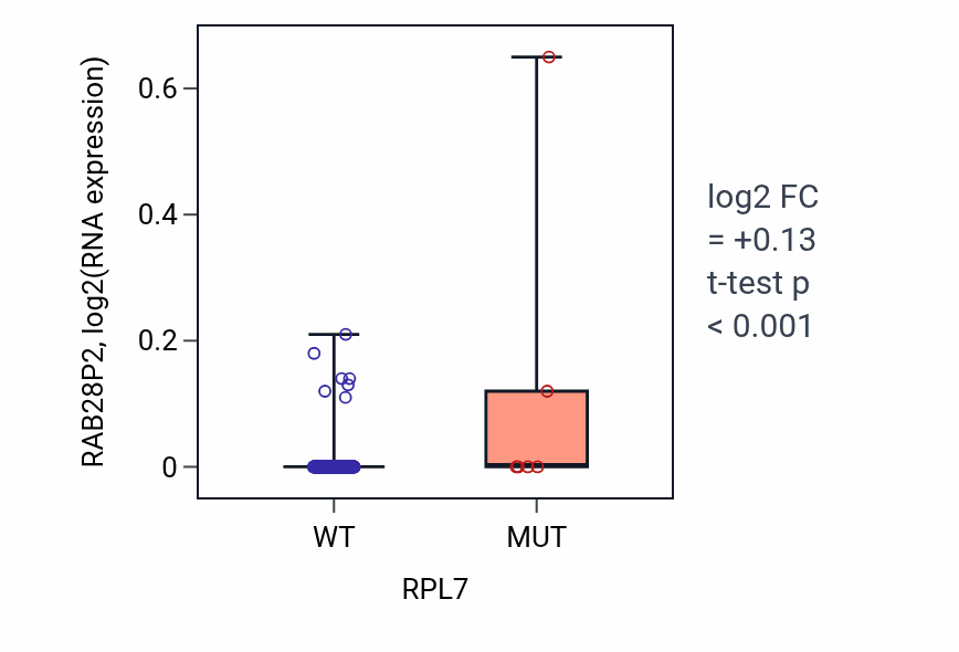 Box plot of RAB28P2 in RPL7-low vs RPL7-high samples in SKCM.