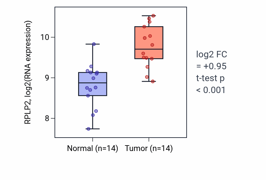 Tumor-vs-normal expression box plot for RPLP2 RNA in KIRC.