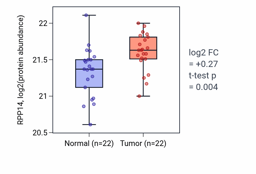Tumor-vs-normal mass-spec protein box plot for RPP14 in HNSC.
