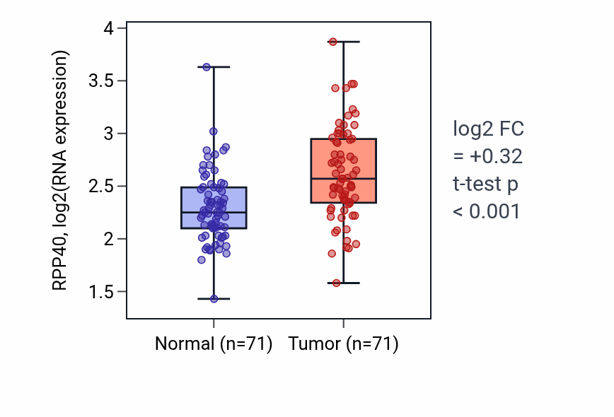Tumor-vs-normal expression box plot for RPP40 RNA in KIRC.