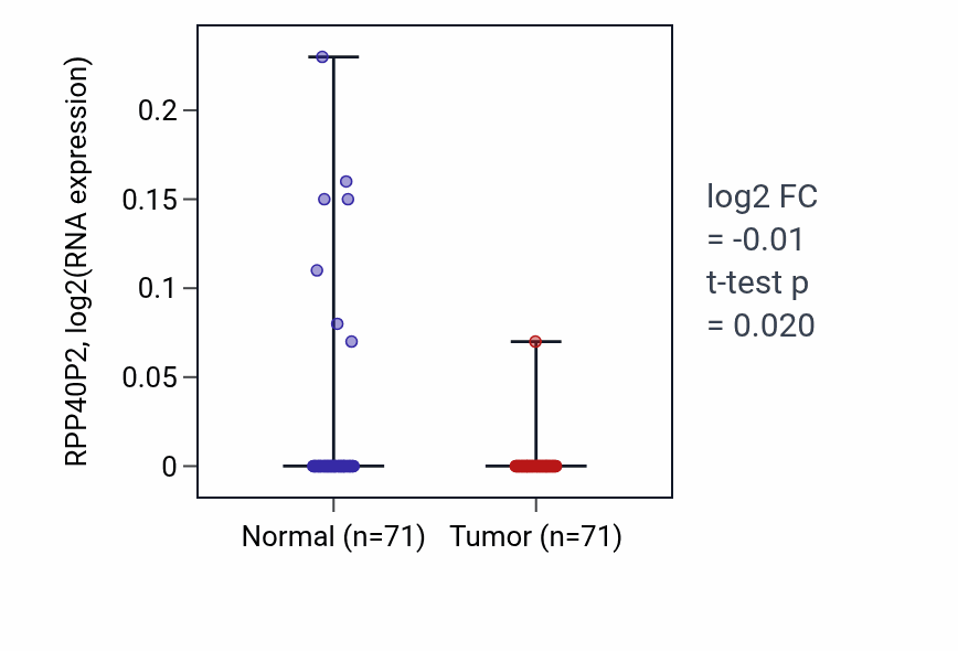 Tumor-vs-normal expression box plot for RPP40P2 RNA in KIRC.