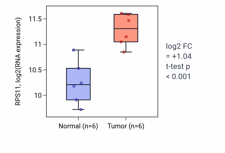 Tumor-vs-normal expression box plot for RPS11 RNA in KIRC.