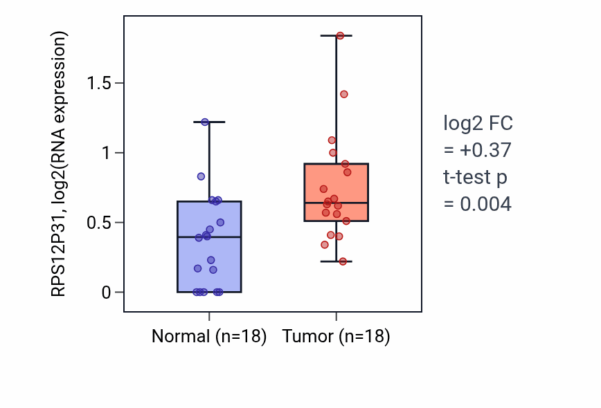 Tumor-vs-normal expression box plot for RPS12P31 in BLCA.