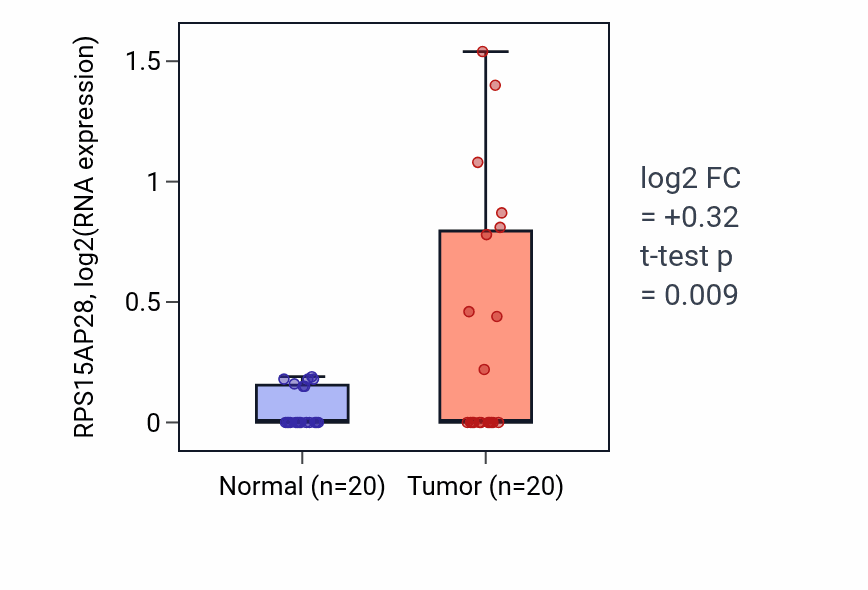 Tumor-vs-normal expression box plot for RPS15AP28 in COAD.