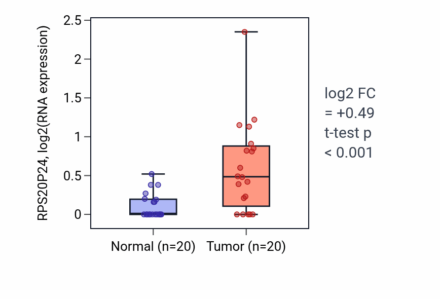 Tumor-vs-normal expression box plot for RPS20P24 in COAD.