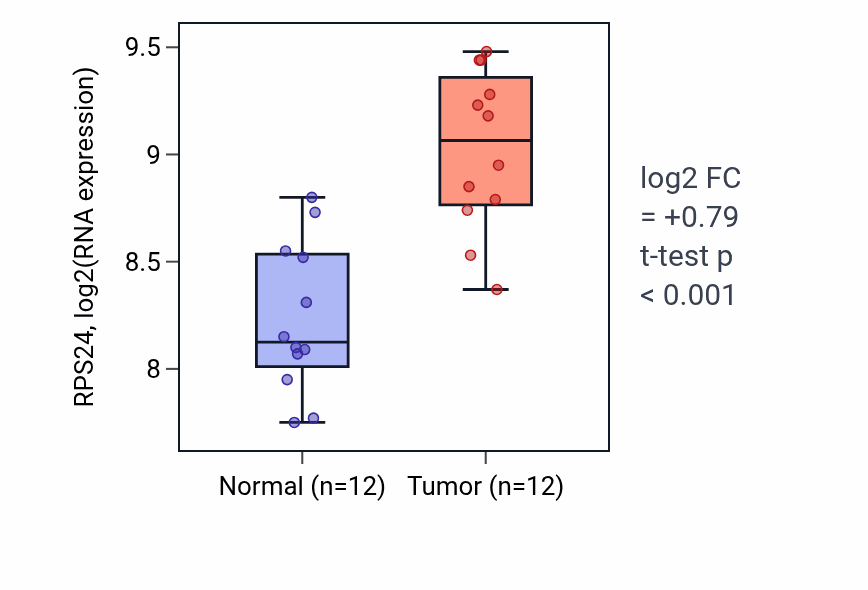 Tumor-vs-normal expression box plot for RPS24 RNA in KIRC.
