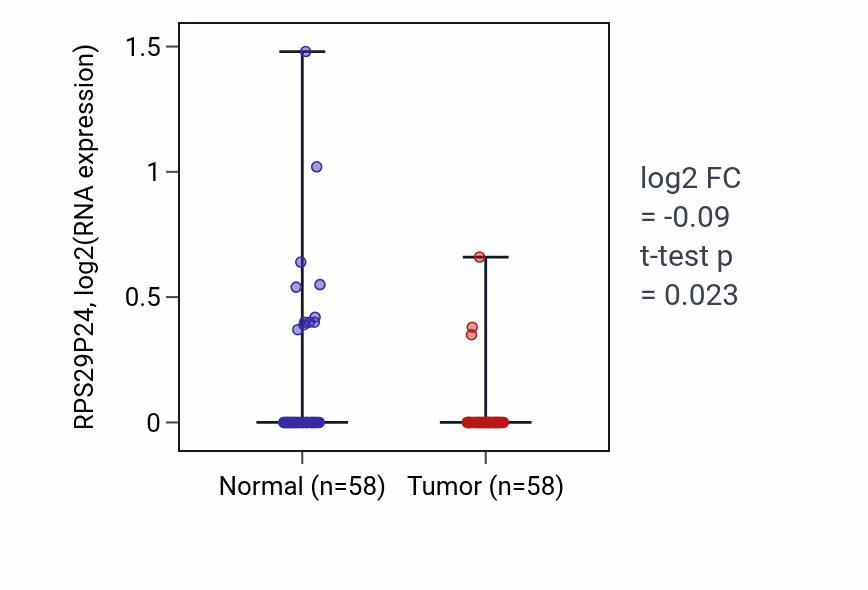 Tumor-vs-normal expression box plot for RPS29P24 in THCA.