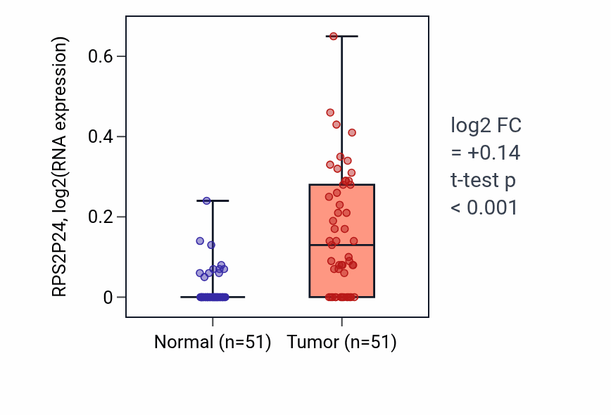 Tumor-vs-normal expression box plot for RPS2P24 in KIRC.