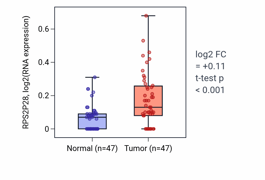 Tumor-vs-normal expression box plot for RPS2P28 in KIRC.