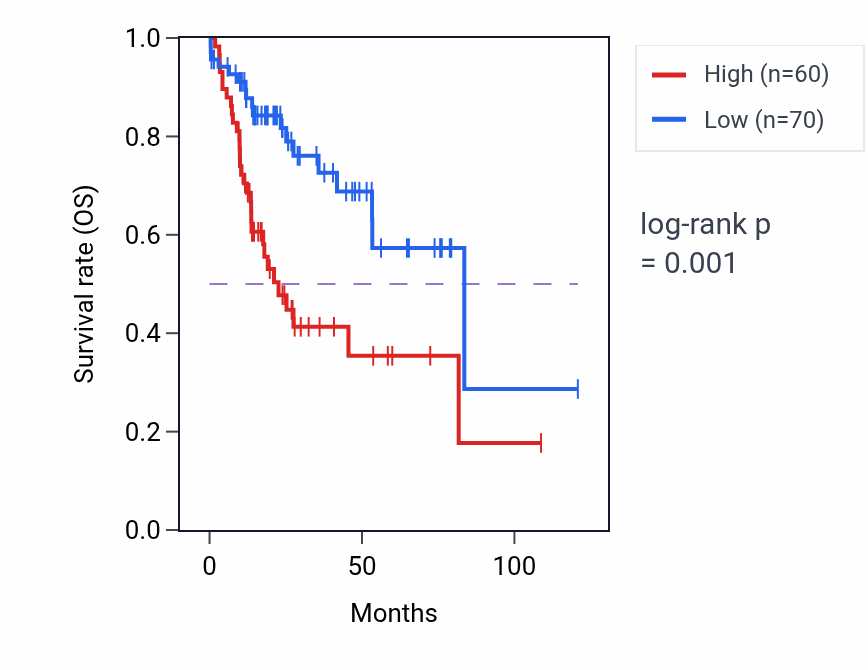 Kaplan&ndash;Meier survival curve for RPS2P48 RNA expression in LIHC: high vs low expression groups.